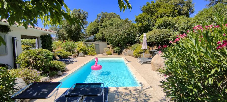 La piscine et sa bouée flamant rose