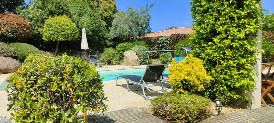 La piscine, vue depuis le jardin